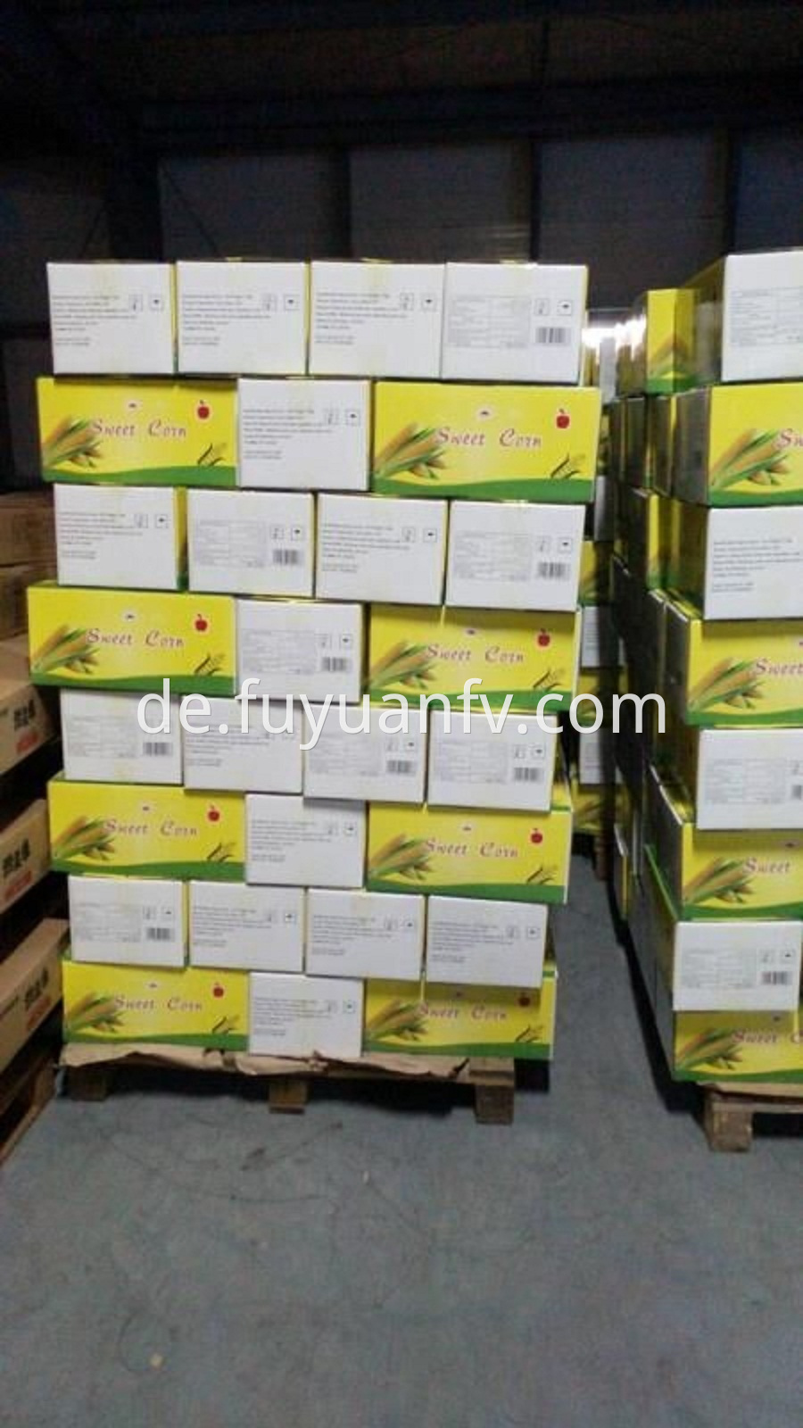 sweet corn in carton 